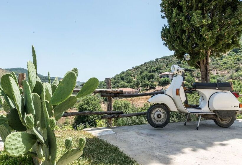 Bed and Breakfast Country House L Antica Pietra