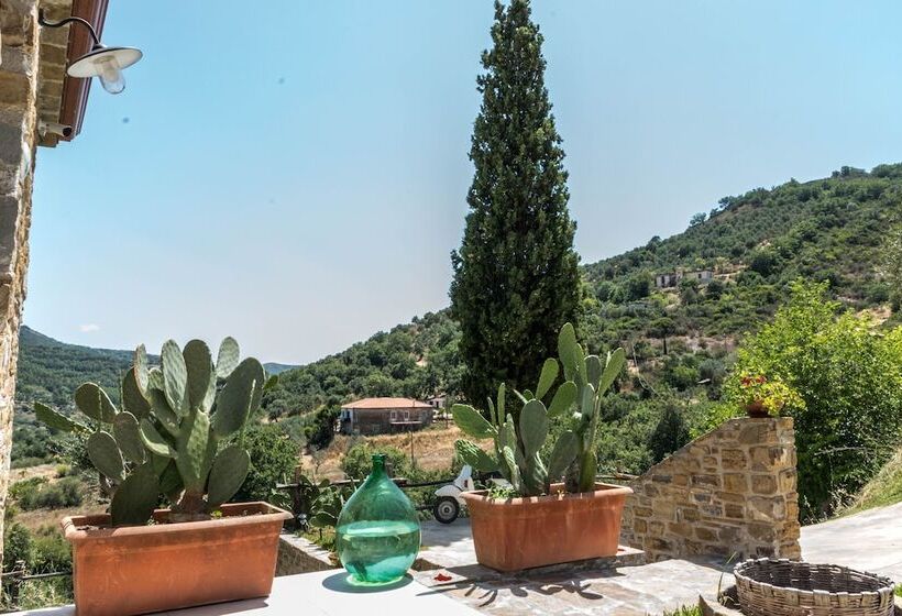 Bed and Breakfast Country House L Antica Pietra