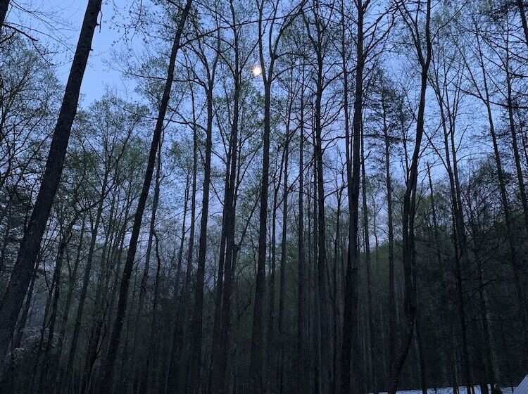 Villas At Gingershack Farms