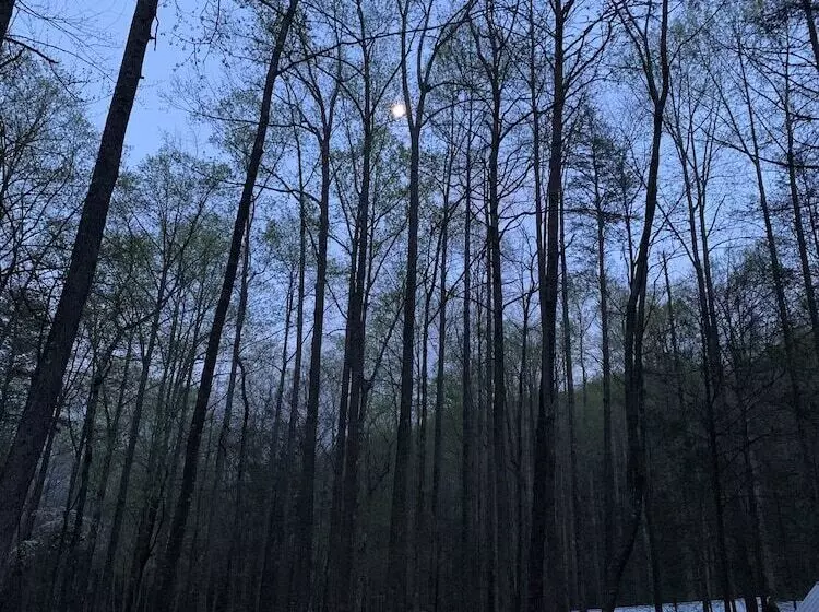 Villas At Gingershack Farms