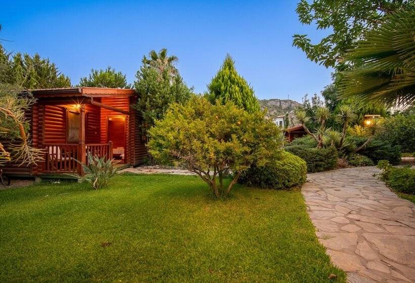 Szálloda Hayitbükü Ahşapevleri̇