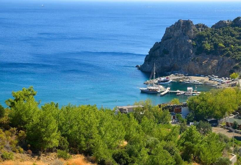 Szálloda Hayitbükü Ahşapevleri̇