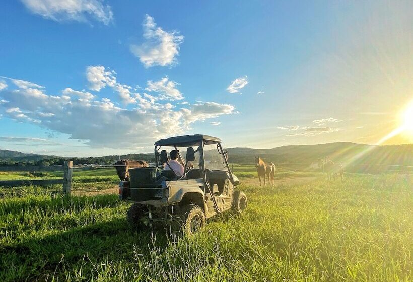 乡村酒店 Kur Cow Farm Escape 35 Minutes From Cairns