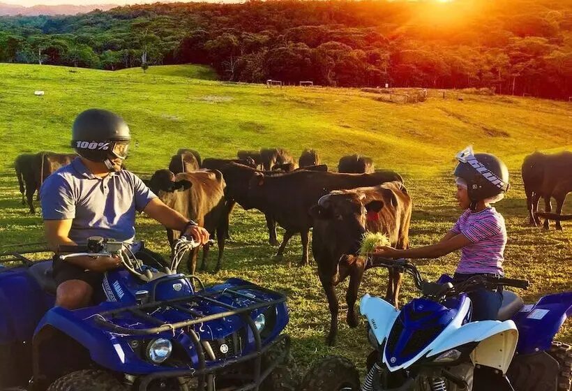 Maaseutuhotelli Kur Cow Farm Escape 35 Minutes From Cairns