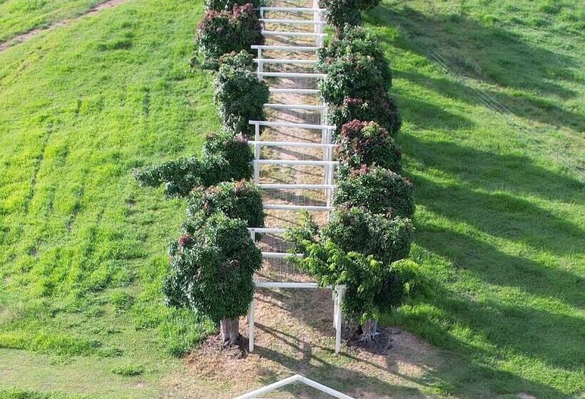 乡村酒店 Kur Cow Farm Escape 35 Minutes From Cairns