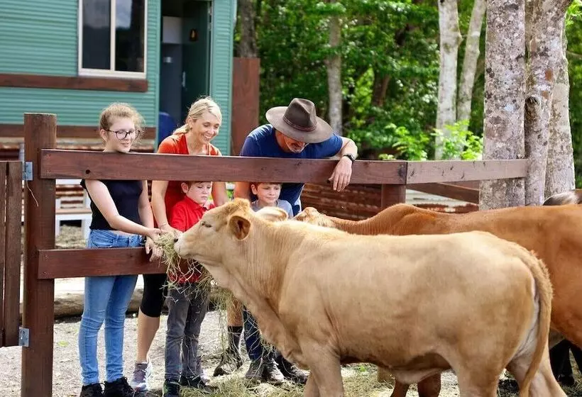 Maaseutuhotelli Kur Cow Farm Escape 35 Minutes From Cairns