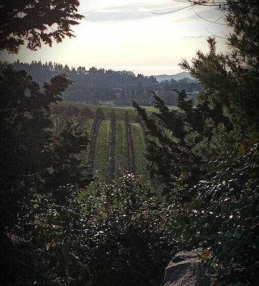 فندق The Boutique Retreat