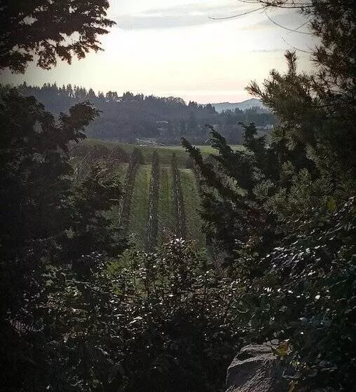 Hotelli The Boutique Retreat