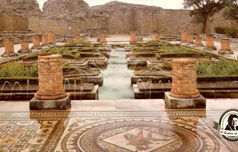 Assafarge 2bedroom 1bathroom Garden