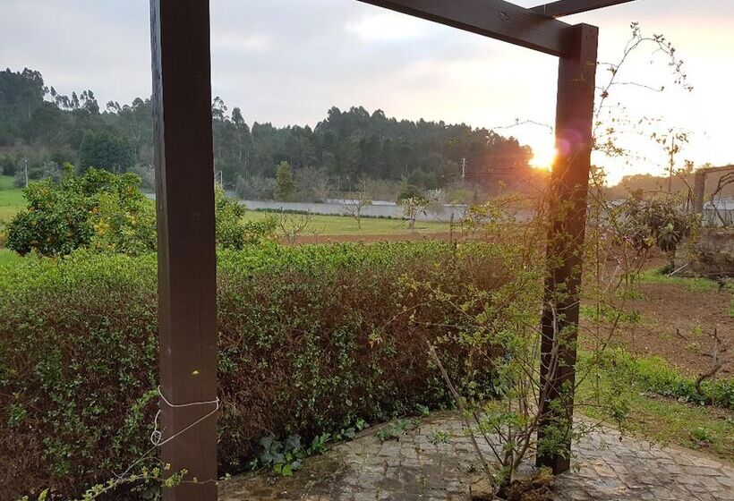 Assafarge 2bedroom 1bathroom Garden