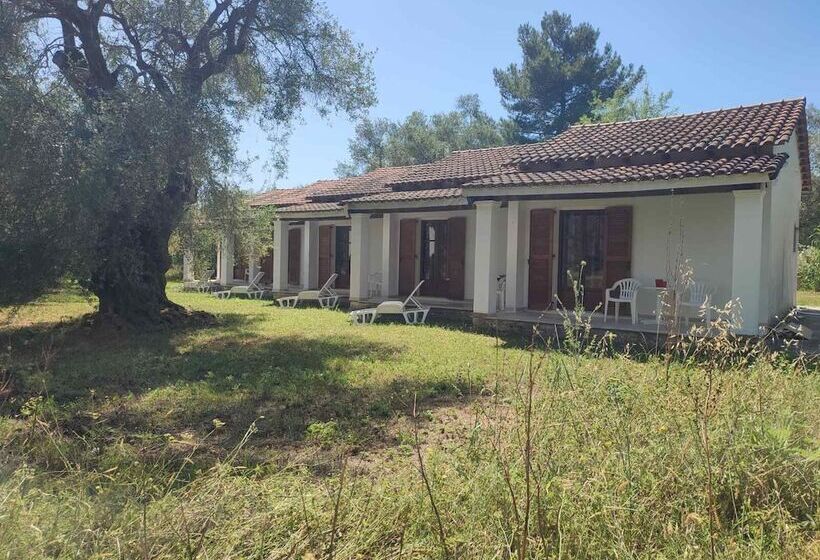 Repose Olive Grove Roda