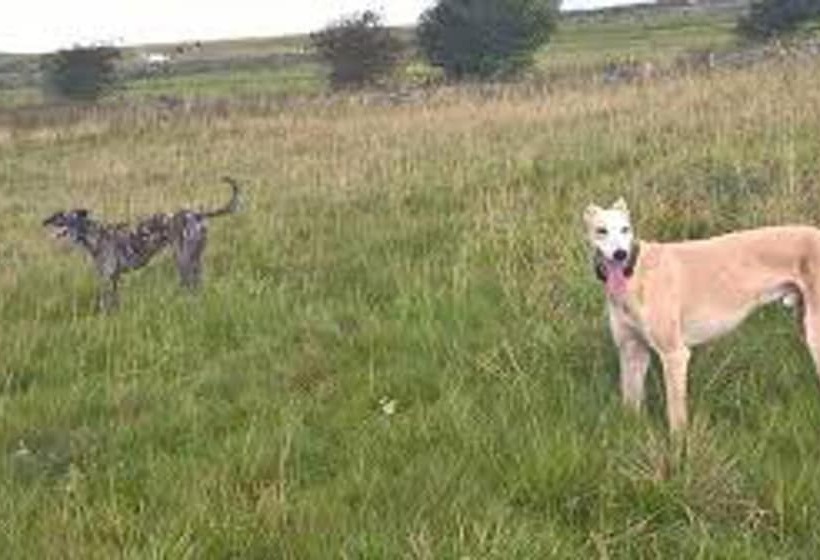 إقامة Hulmes Vale House   Sleeps 14   Peak District