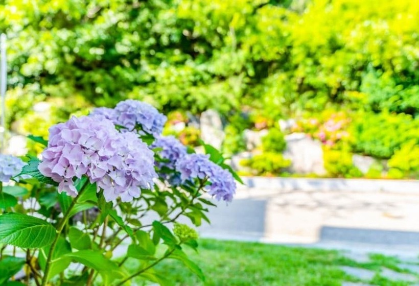 Daebudo Grand Blue Pension