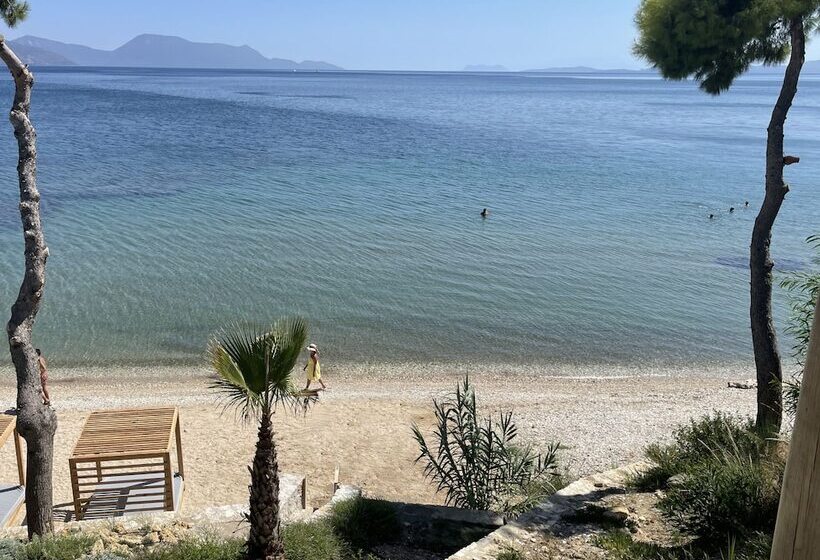 Отель Amethyst Selene Paleros