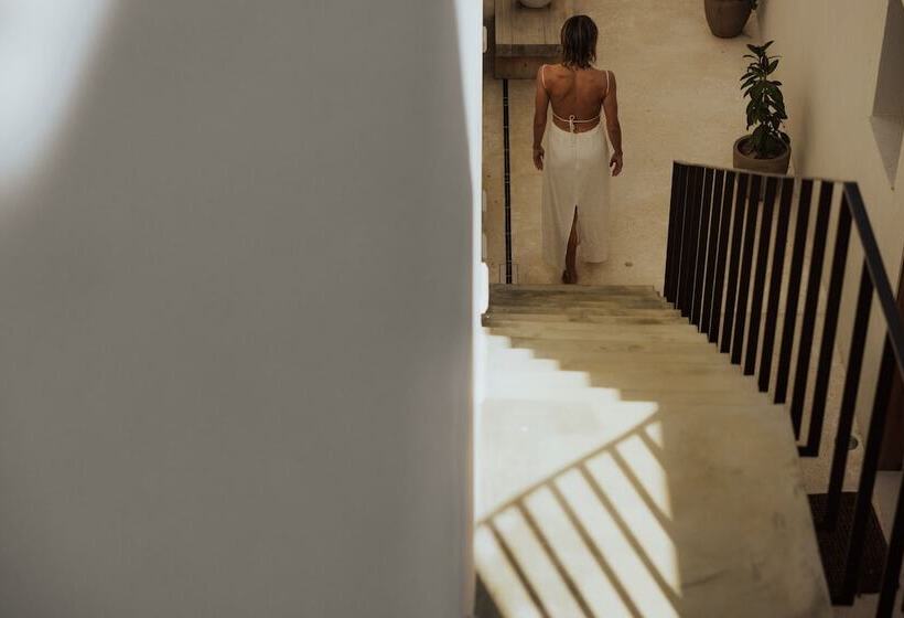 Отель Amethyst Selene Paleros