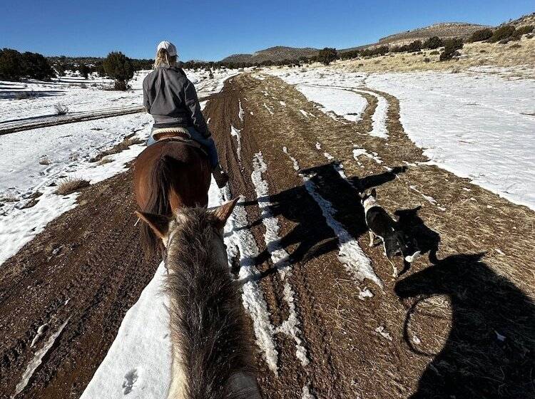فندق ريفى Grand Canyon Glamping Resort
