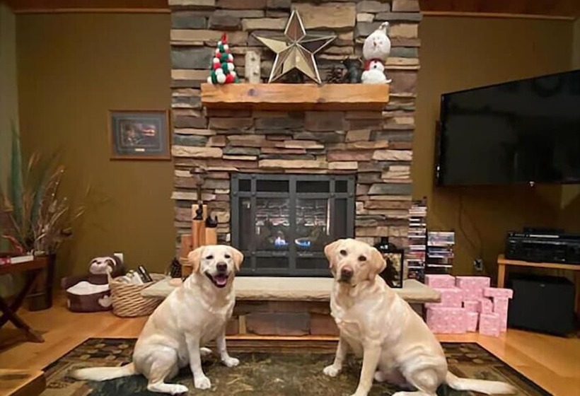 Lazy Dog Lodge On Minong Flowage