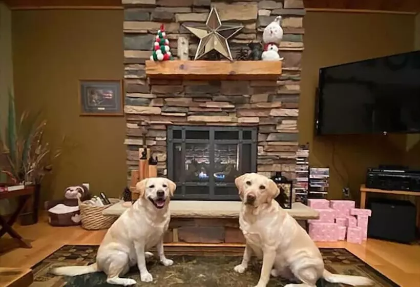 Lazy Dog Lodge On Minong Flowage