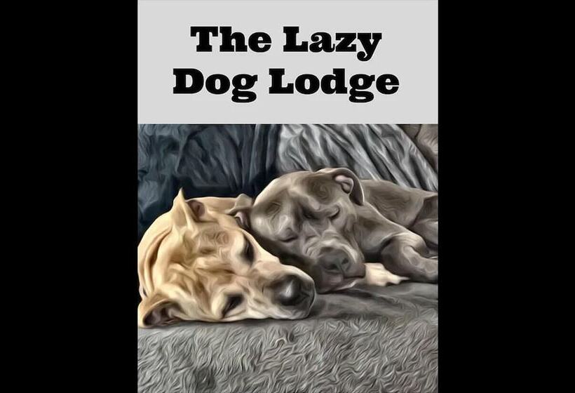 Lazy Dog Lodge On Minong Flowage