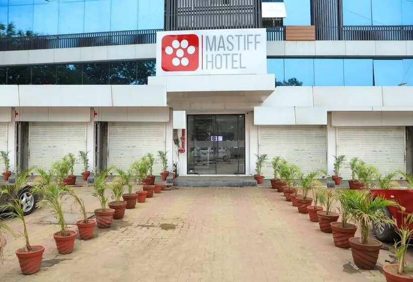 Mastiff Hotel Ankleshwar