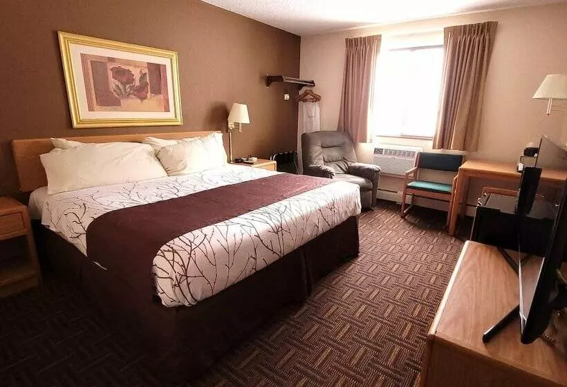 モーテル Star Of The Lakes