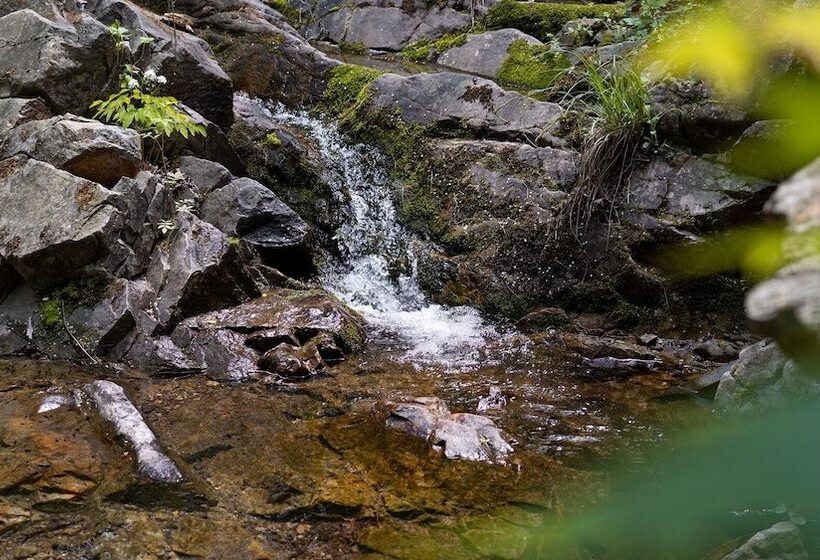 Pocheon Bearhill Pension