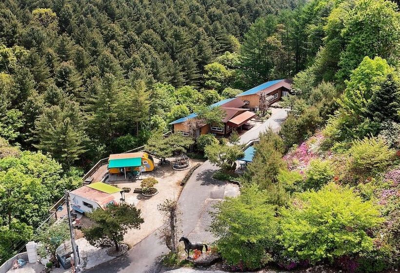 Pocheon Bearhill Pension