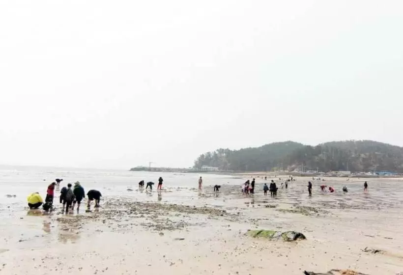 Taean Bless Ocean Pension