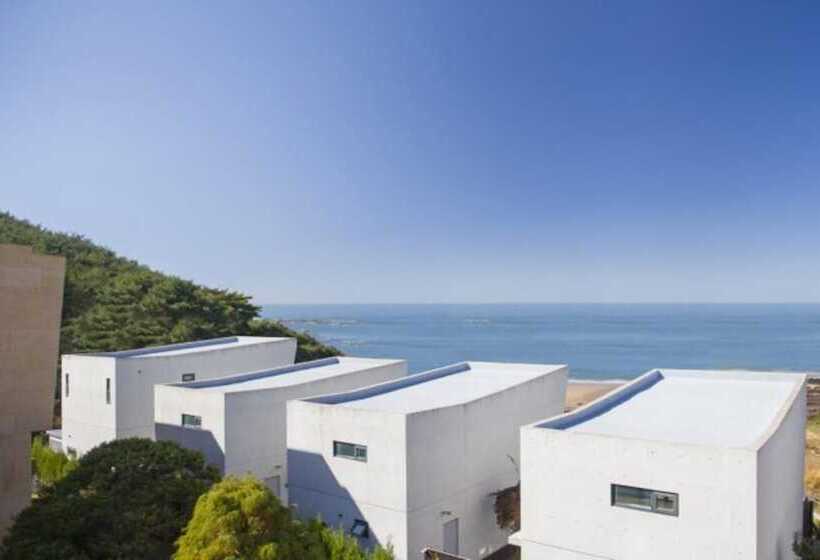 Taean Bohemia Village Pension