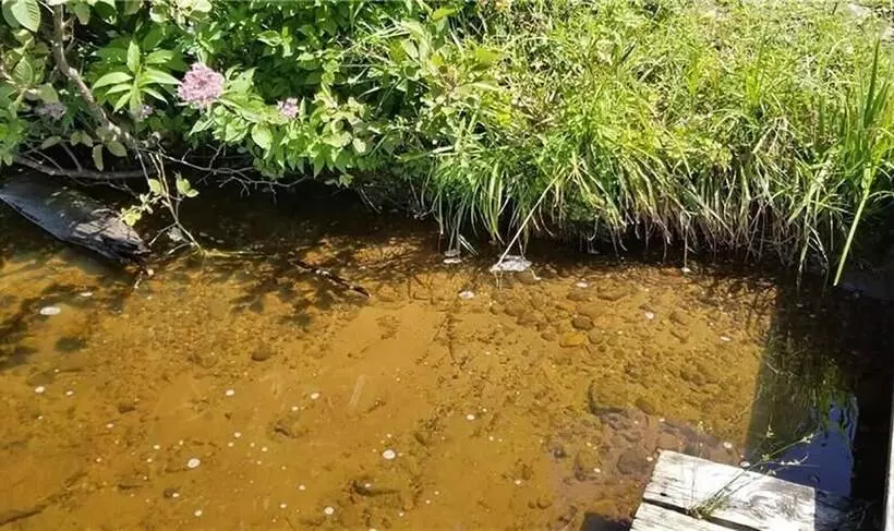 Tranquility On Teal Lake