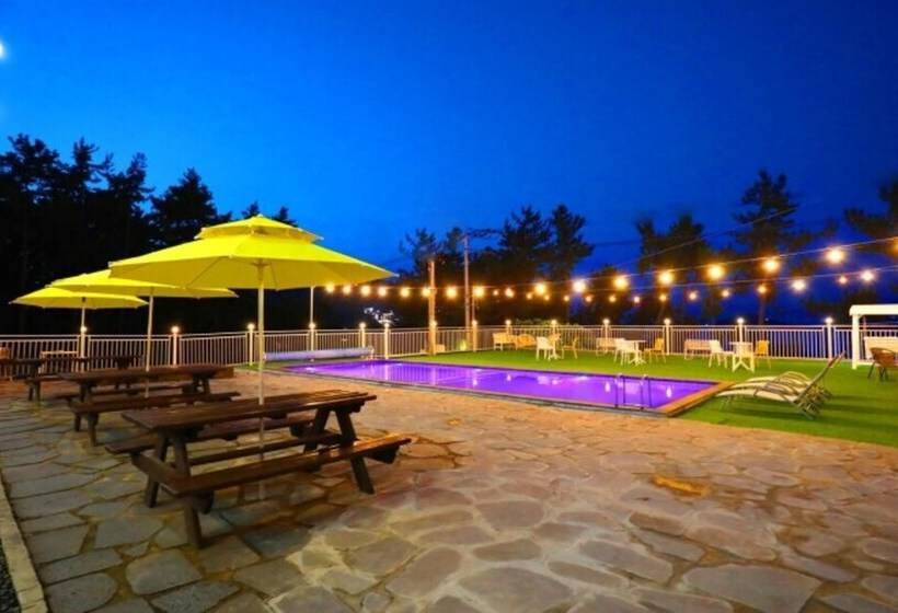Yeosu Moraeal Pet Heated Pool Pension