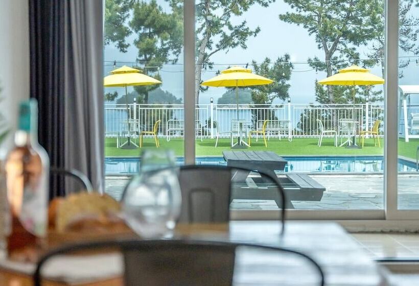 Yeosu Moraeal Pet Heated Pool Pension