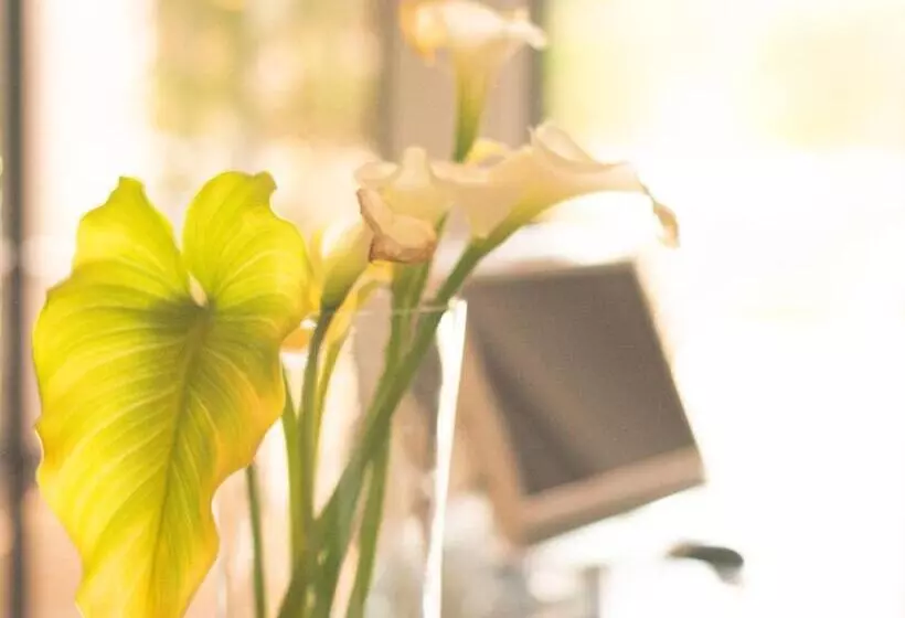 Отель Blue Diamond Boutique