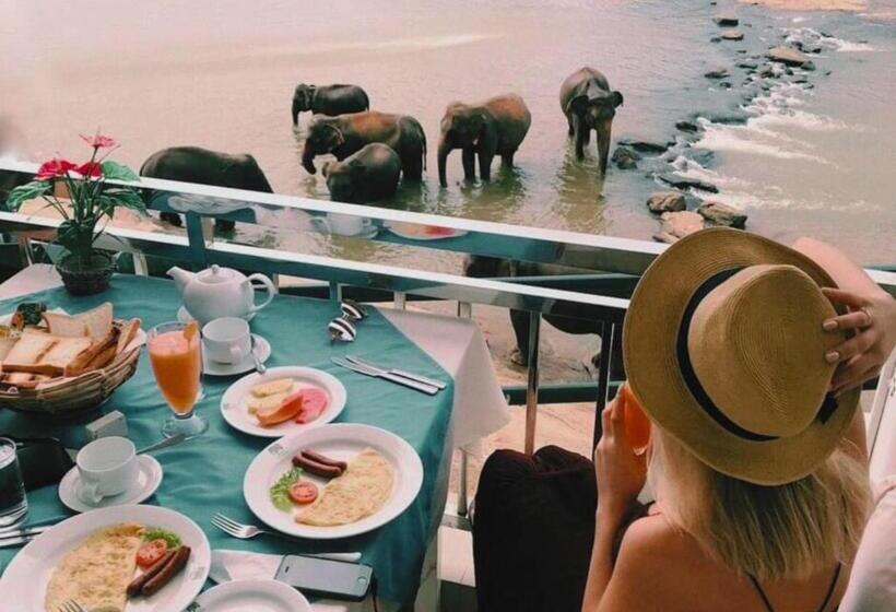 בית מלון כפרי Elephant Park New Deal! Half Off Airport Pickups Available