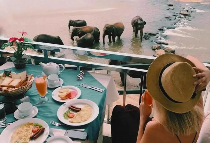 فندق Elephant Park   New Deal! Half Off Airport Pickups Available