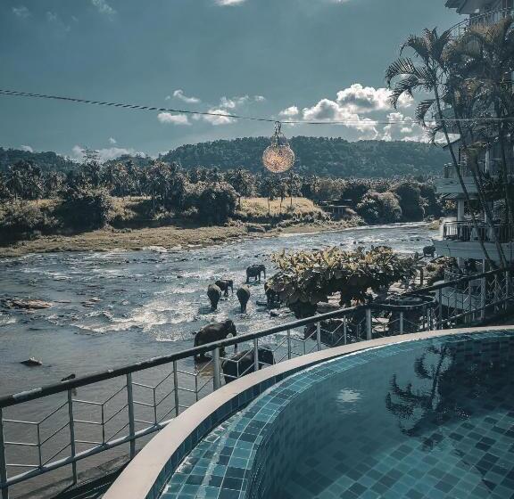 בית מלון כפרי Elephant Park New Deal! Half Off Airport Pickups Available