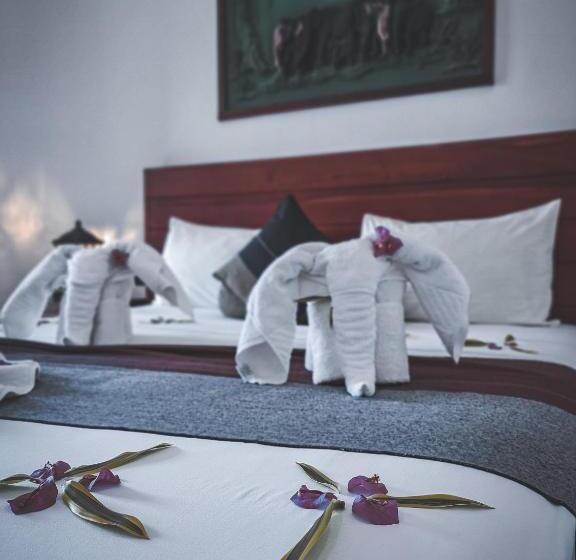 בית מלון כפרי Elephant Park New Deal! Half Off Airport Pickups Available