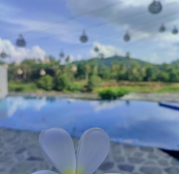 בית מלון כפרי Elephant Park New Deal! Half Off Airport Pickups Available