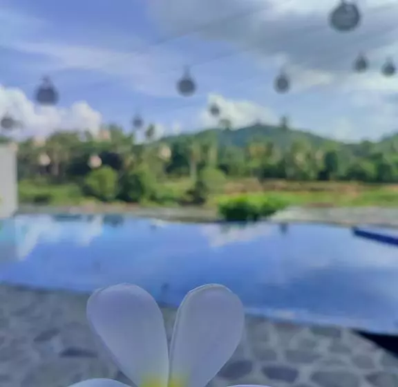 Szálloda Elephant Park   New Deal! Half Off Airport Pickups Available