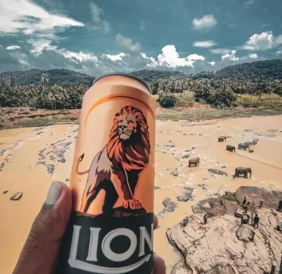 Hotel Elephant Park New Deal! Half Off Airport Pickups Available