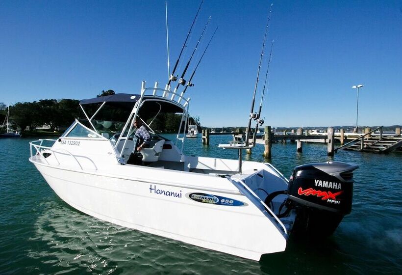 Отель Hananui Lodge And Apartments