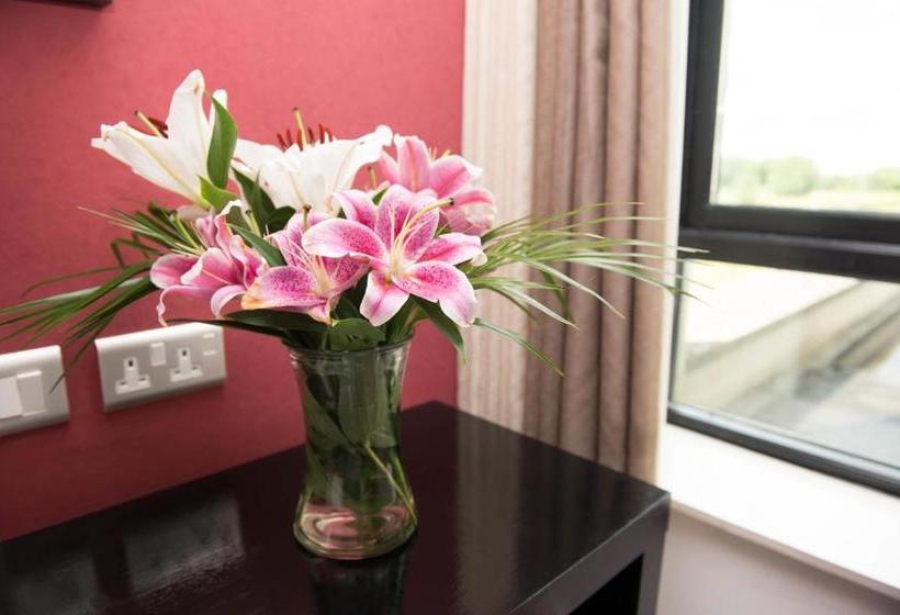 Hotel Harry's Of Kinnegad