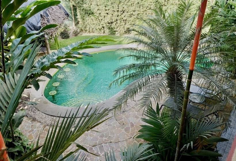 酒店 Luz De Luna Bahía Ballena