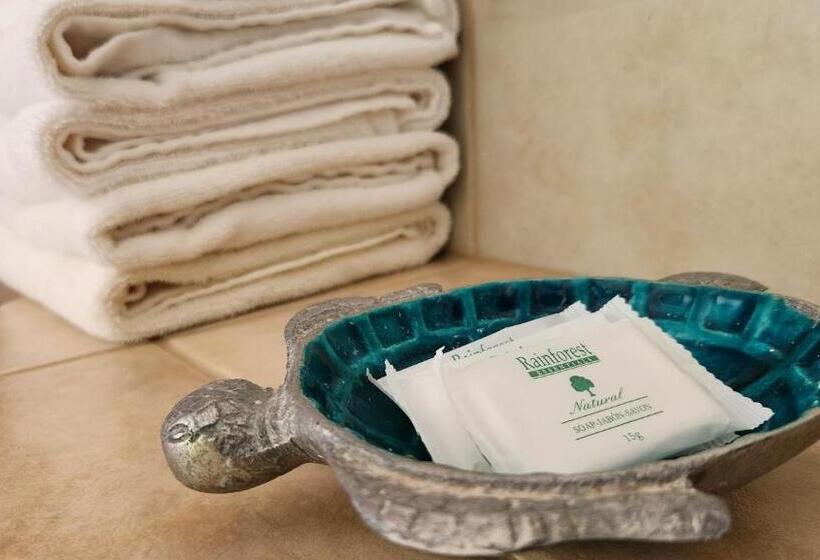 酒店 Luz De Luna Bahía Ballena