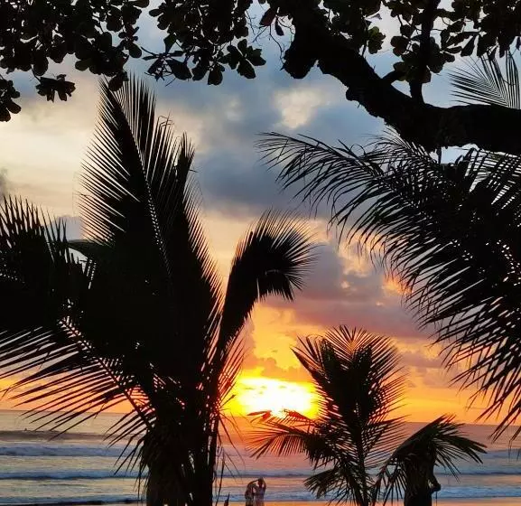 Отель Luz De Luna Bahía Ballena