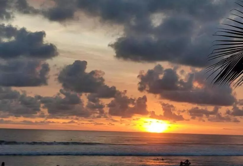 Отель Luz De Luna Bahía Ballena