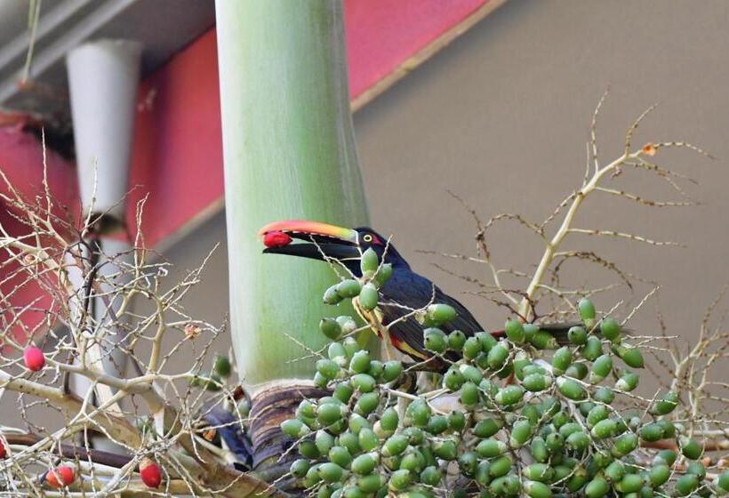 酒店 Luz De Luna Bahía Ballena