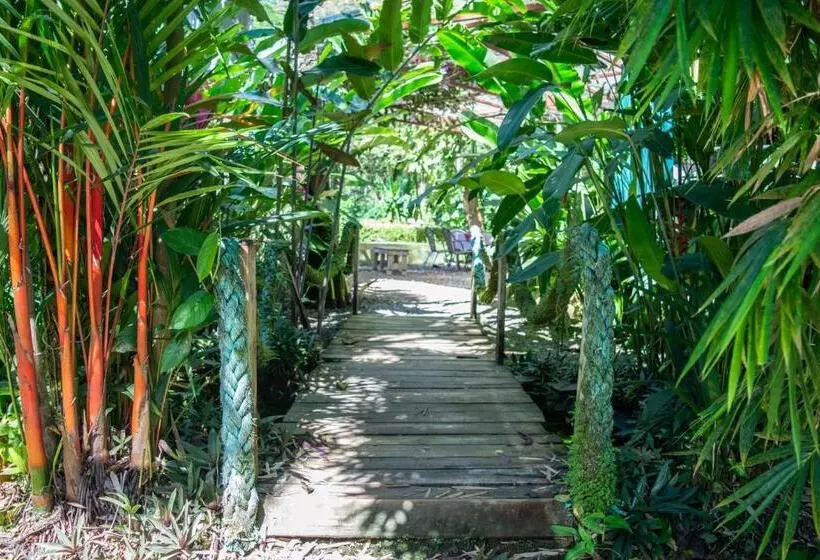 Отель Luz De Luna Bahía Ballena