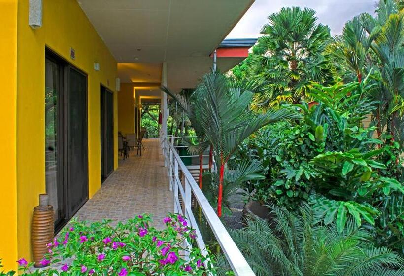 酒店 Luz De Luna Bahía Ballena