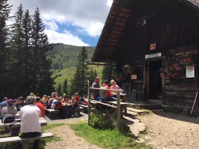 Отель Pinguin Koralpe